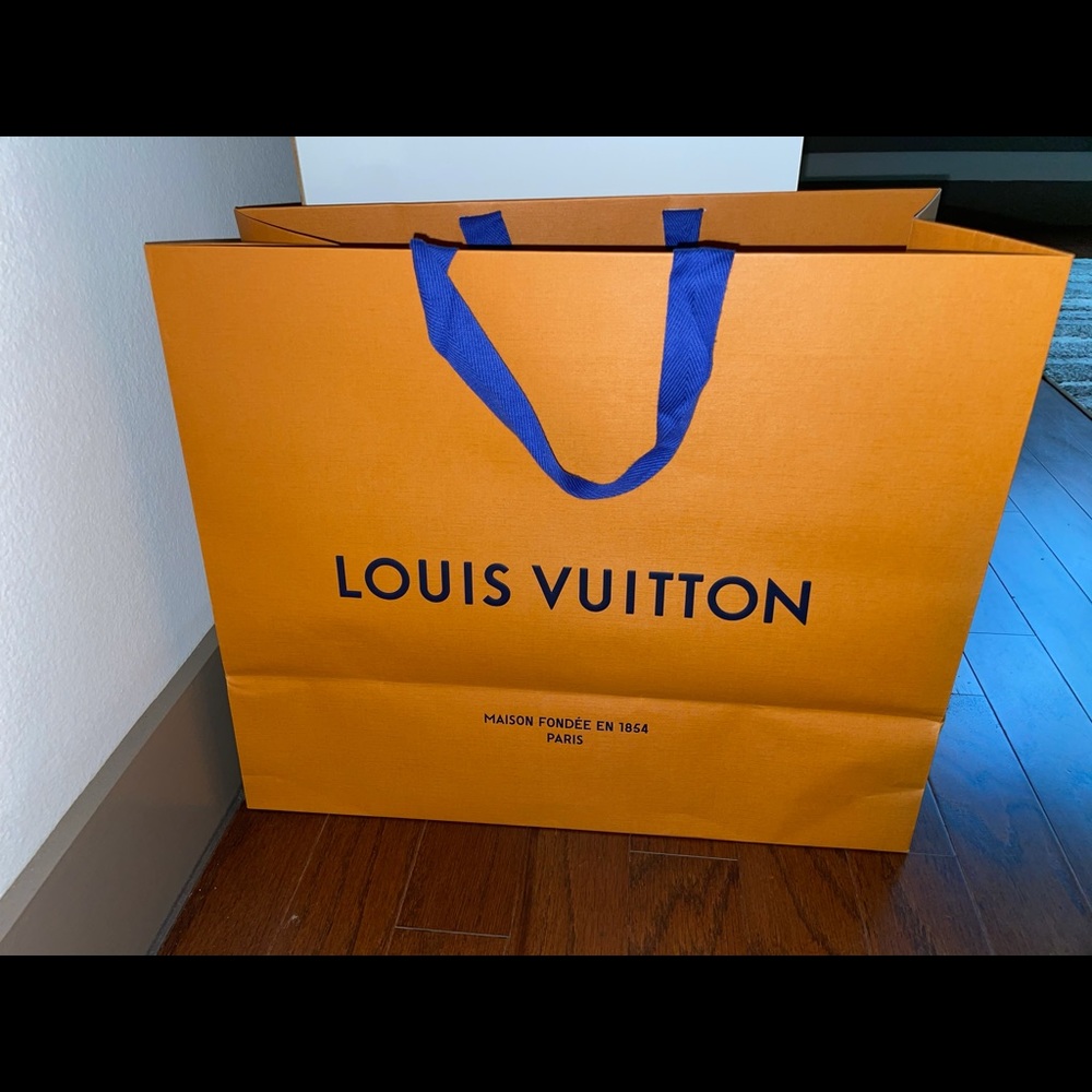 Empty Louis Vuitton shopping bag